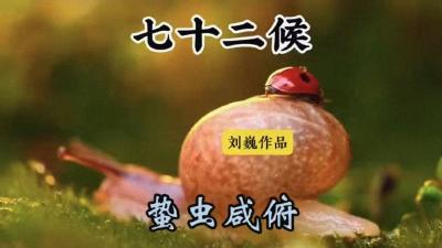 霜降三候-蛰虫咸俯