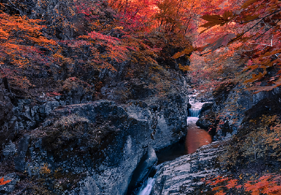白居易：霜降水返壑 风落木归山