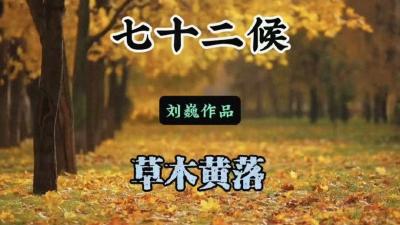 霜降二候-草木黄落