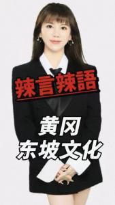 黄冈东坡文化@辣妹说旅游