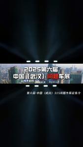 2025第六届中国（武汉）问题车展征集令@江楠说车