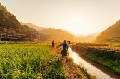 每日一读 | 谁的影子