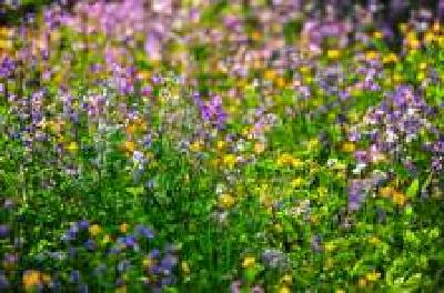 每日一读 | 注销伤害