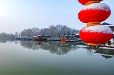 每日一读 | 情比岁月长