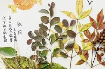 每日一读 | 有诗，就有了美的钥匙