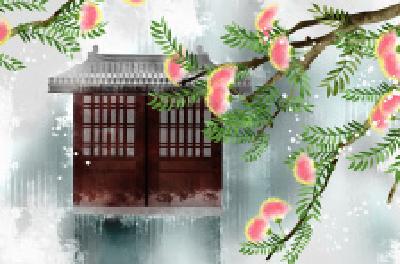 每日一读 | 合欢树