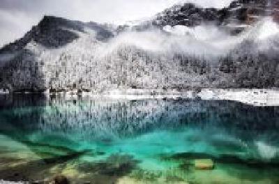 每日一读 | 艺术的作用