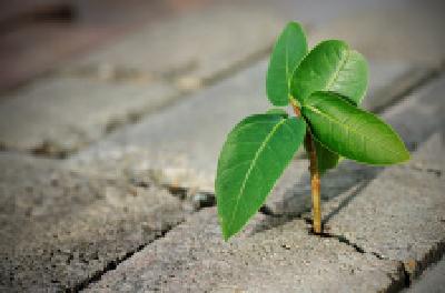 每日一读 | 真痴