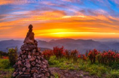 每日一读 | 示弱，而后强大