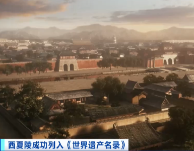 20250711西夏陵成功列入《世界遗产名录》