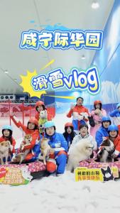 咸宁际华园滑雪vlog@辣妹说旅游