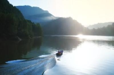 每日一读 | 放逐情绪