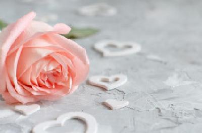 每日一读 | 如愿以偿