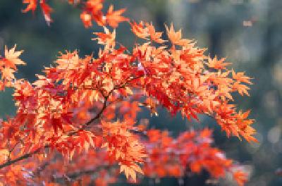 每日一读 | 卒然临之而不惊，无故加之而不怒