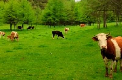 每日一读 | 理想生活