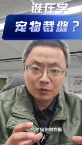 谁在学宠物裁缝？@老杨谈谈