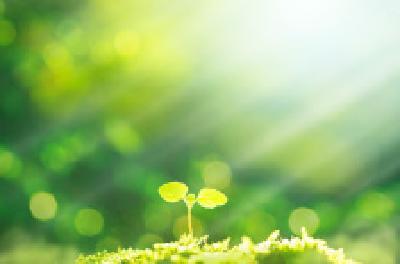 每日一读 | 幸运