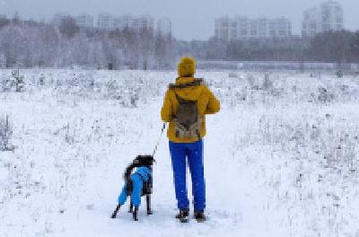 每日一读 | 站远一点，才有机会感动