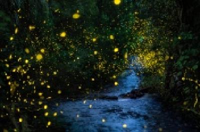 每日一读 | 游走于乡野的光