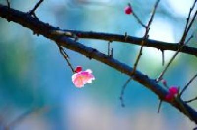 每日一读 | 民间性格