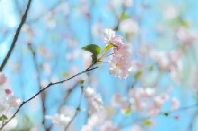 每日一读 | 把悲伤留给自己