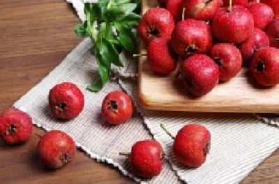 每日一读 | 山楂是甜的