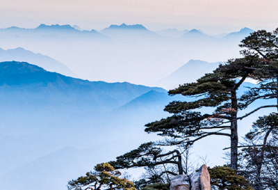 仲长统：安危不贰其志，险易不革其心