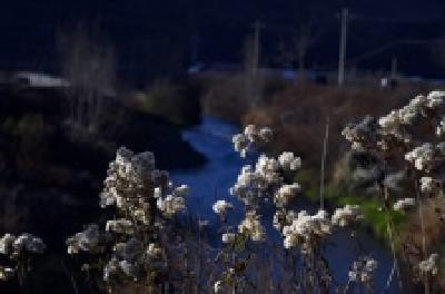 每日一读 | 拉大锯