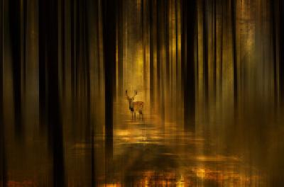 每日一读 | 没有硝烟的较量