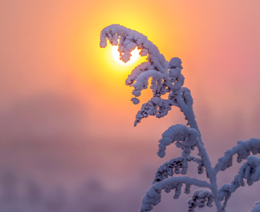 李世民：心随朗日高，志与秋霜洁