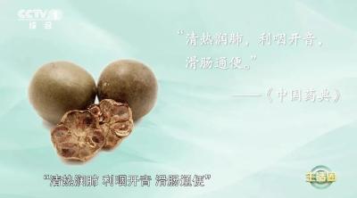 冬季养肺=养命！别错过这个“神仙果”，血糖、血脂、免疫力都受益