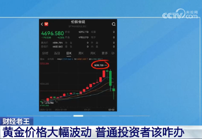 20260203 央视记者王雷：黄金价格大幅波动 普通投资者该咋办