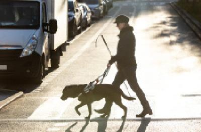 每日一读 | 地铁上的盲女与狗