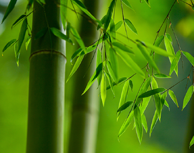 王永彬：听切实话，觉得津津有味，则进德可期也
