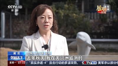 履职一年间丨从守护“长江微笑”到建言绿色航运 她用脚步丈量一江清水