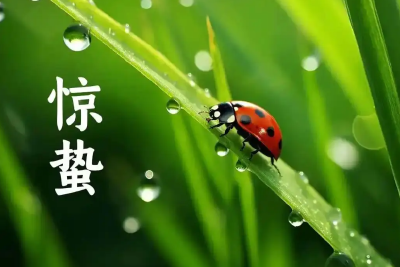 今日惊蛰｜春光正好，万物生长