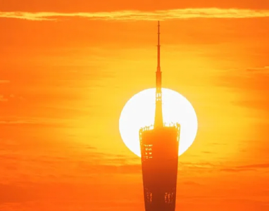 华罗庚：发愤早为好，苟晚休嫌迟